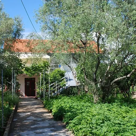 Soric Poljana (Ugljan)
